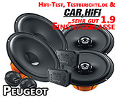 Peugeot Rifter Lautsprecher beide vordere oder hintere Türen DSK1653 DCX165